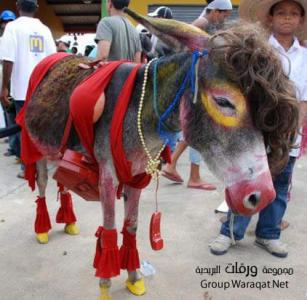 ������ ������� ���� �����